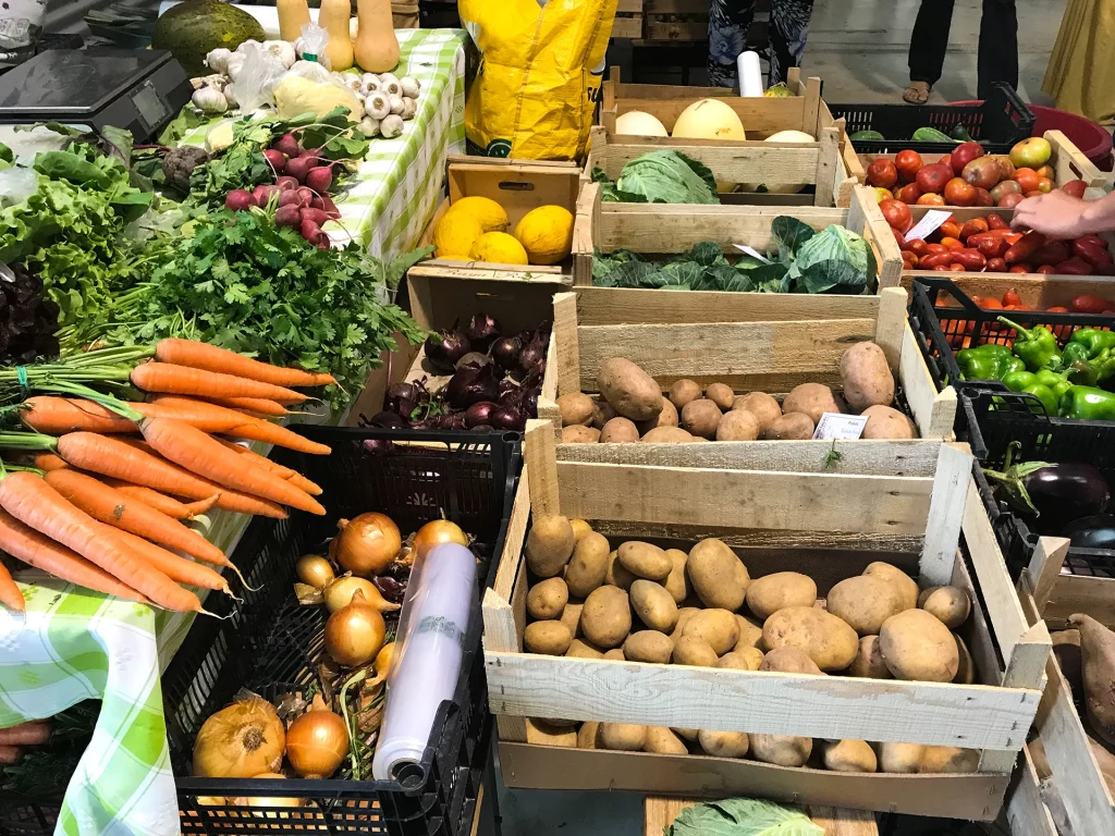 Richtige Lagerung von Lebensmitteln